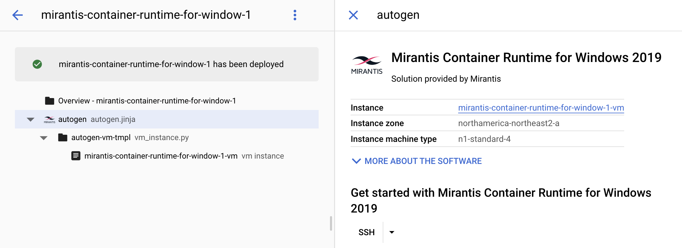 Successful deployment of Mirantis Container Runtime for Windows Server 2019 on Google Cloud Marketplace